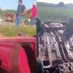 Acidente entre veículo de saúde e animal é registrado no nordeste do Pará