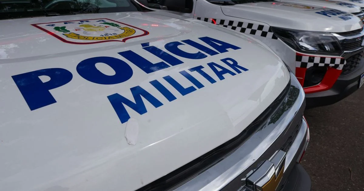 Possível ossada humana é encontrada em área de mata no Pará