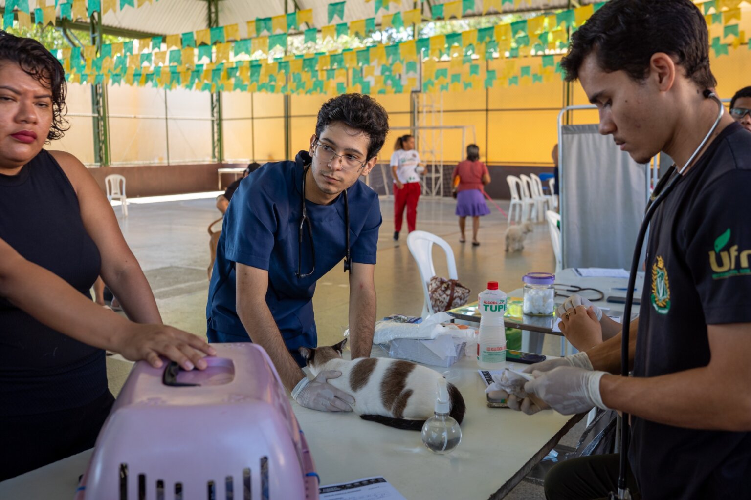 Prefeitura de Parauapebas fortalece proteção animal com atendimento gratuito e ações de conscientização
