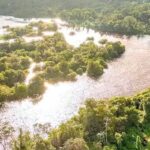 MPF tenta barrar acordo bilionário de créditos de carbono firmado pelo Pará