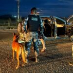 Operação encerra com 23 prisões e apreensão de mais de 8,6 kg de drogas em Parauapebas