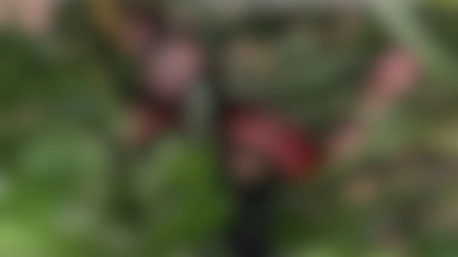 Mulher trans é morta a tiros em zona rural no nordeste do Pará