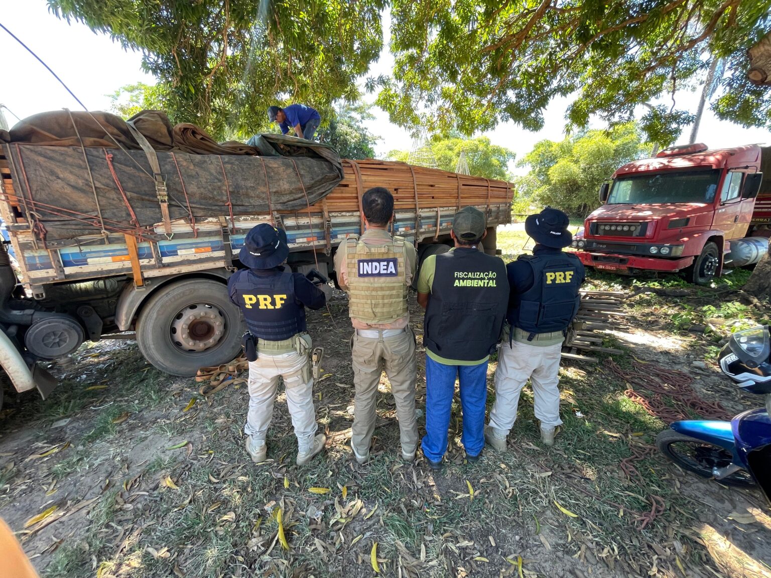 PRF apreende mais de 513 m³ de madeira ilegal durante capacitação no Pará