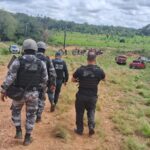 Ocupação irregular é desmobilizada em fazenda de Palestina do Pará