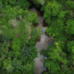 Mato Grosso, Pará e Maranhão concentram quase metade da área queimada no Brasil desde 1985, aponta MapBiomas