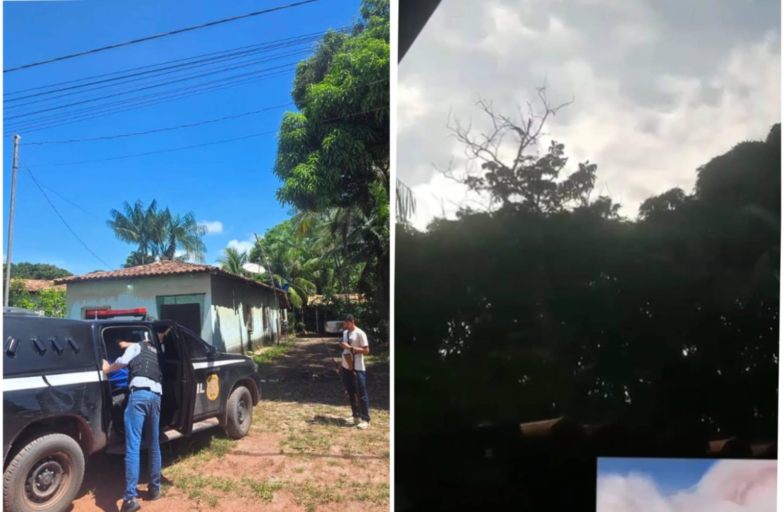 Polícia Civil prende homem por porte ilegal de arma e abate de animal silvestre no Pará