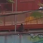 Homem é filmado furtando fios elétricos em região turística no Pará