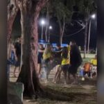Confusão após jogo de Brasil x Noruega termina com agressões e mobiliza polícia no Pará