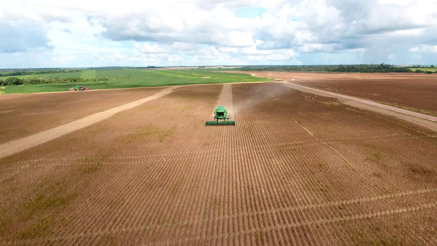 Escassez mundial de enxofre ameaça agronegócio do Pará e pode elevar custo da produção