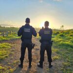 PF combate grupo suspeito de causar R$ 469 milhões em danos ambientais no Pará