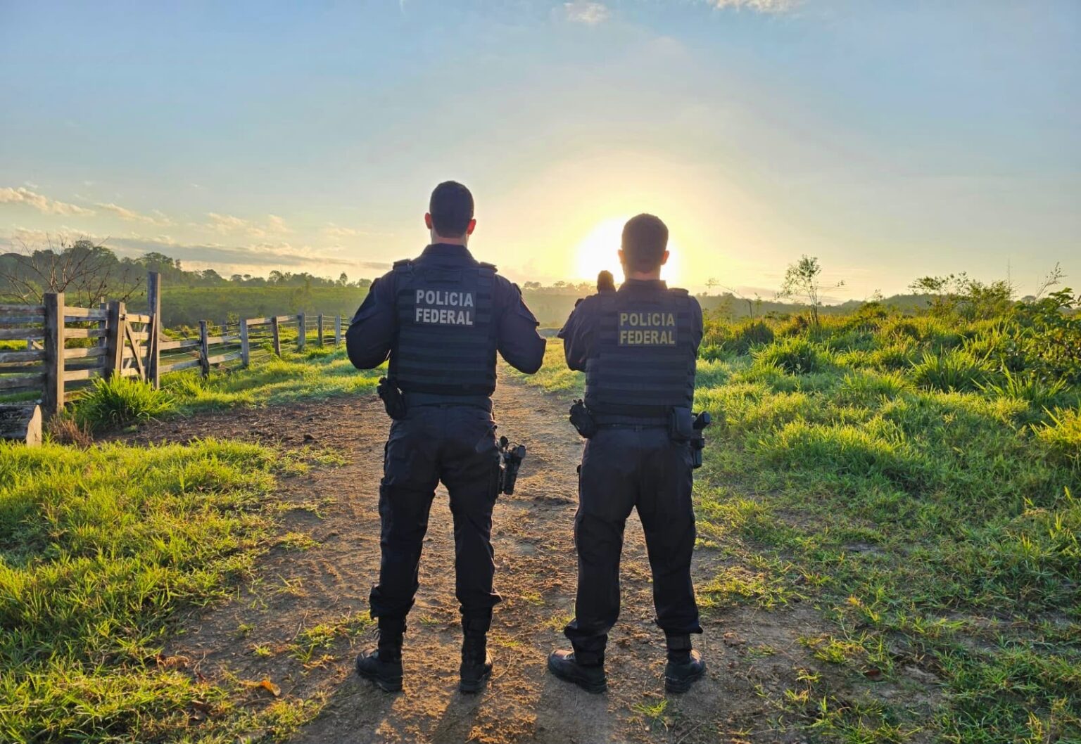 PF combate grupo suspeito de causar R$ 469 milhões em danos ambientais no Pará