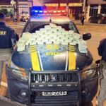 PRF apreende 53 kg de skunk durante fiscalização na BR-230, em Altamira