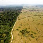 Desmatamento na Amazônia cai 36,87% no último ano