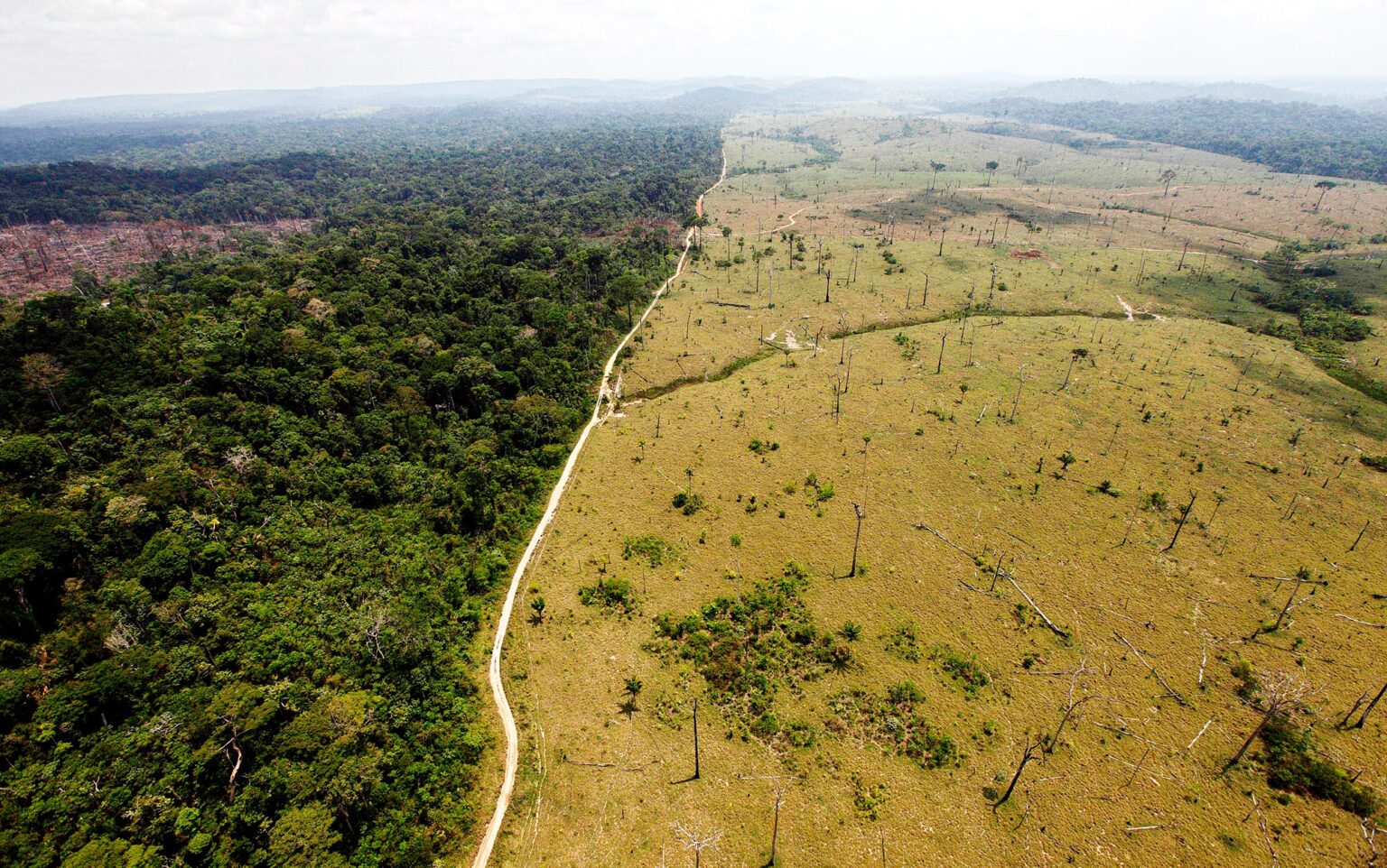 Desmatamento na Amazônia cai 36,87% no último ano