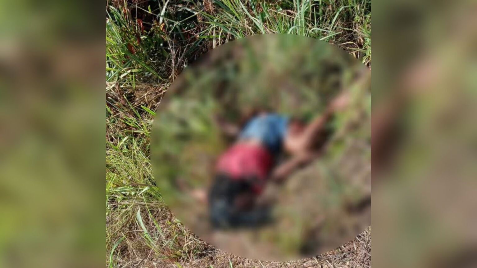 Corpo de mulher é encontrado na BR-222, em Bom Jesus do Tocantins