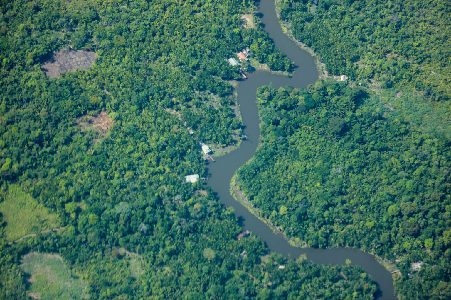 Pará registra redução de 26% na área sob alertas de desmatamento no ano PRODES 2026