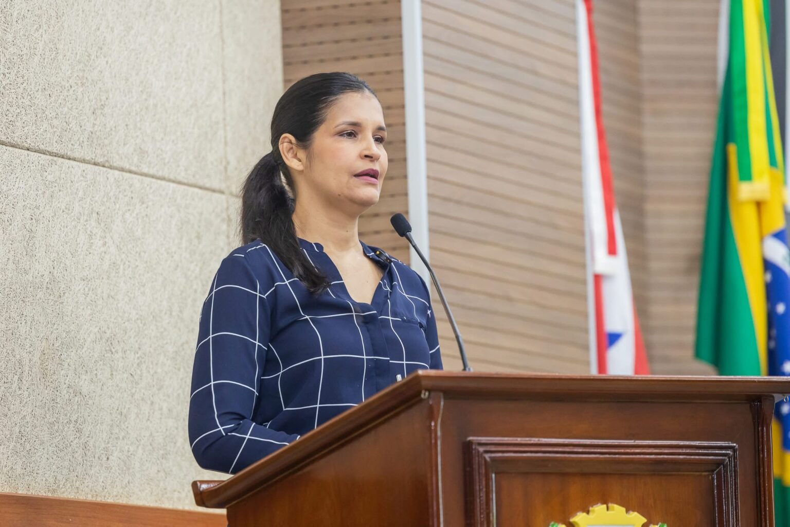 Câmara de Marabá classifica ataques contra Priscila Veloso como violência política de gênero