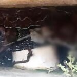 Feto é encontrado em fossa de posto de saúde no Pará