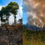 Incêndio avança em Terra Indígena Apyterewa no sul do Pará