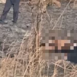 Corpo carbonizado é encontrado em terreno de Canaã dos Carajás