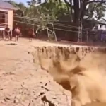 ‘Terras caídas’ provocam desmoronamento de terra às margens do Rio Amazonas, no Pará