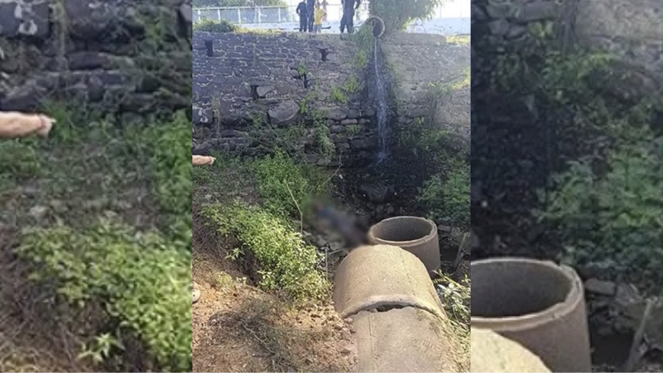 Homem de 56 anos morre após queda de cinco metros às margens do Rio Tocantins