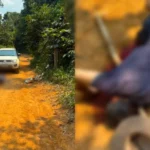 Homem é encontrado morto com marcas de tiros em área rural no sudoeste do Pará