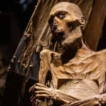 Comércio de múmias e restos humanos cresce na internet e preocupa pesquisadores