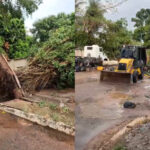 Temporal com granizo e ventos fortes derruba árvores e causa estragos em Xinguara