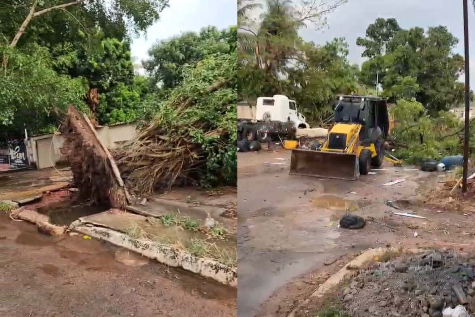 Temporal com granizo e ventos fortes derruba árvores e causa estragos em Xinguara