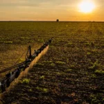 Seguro rural: novas regras ampliam cobertura e proteção ao produtor