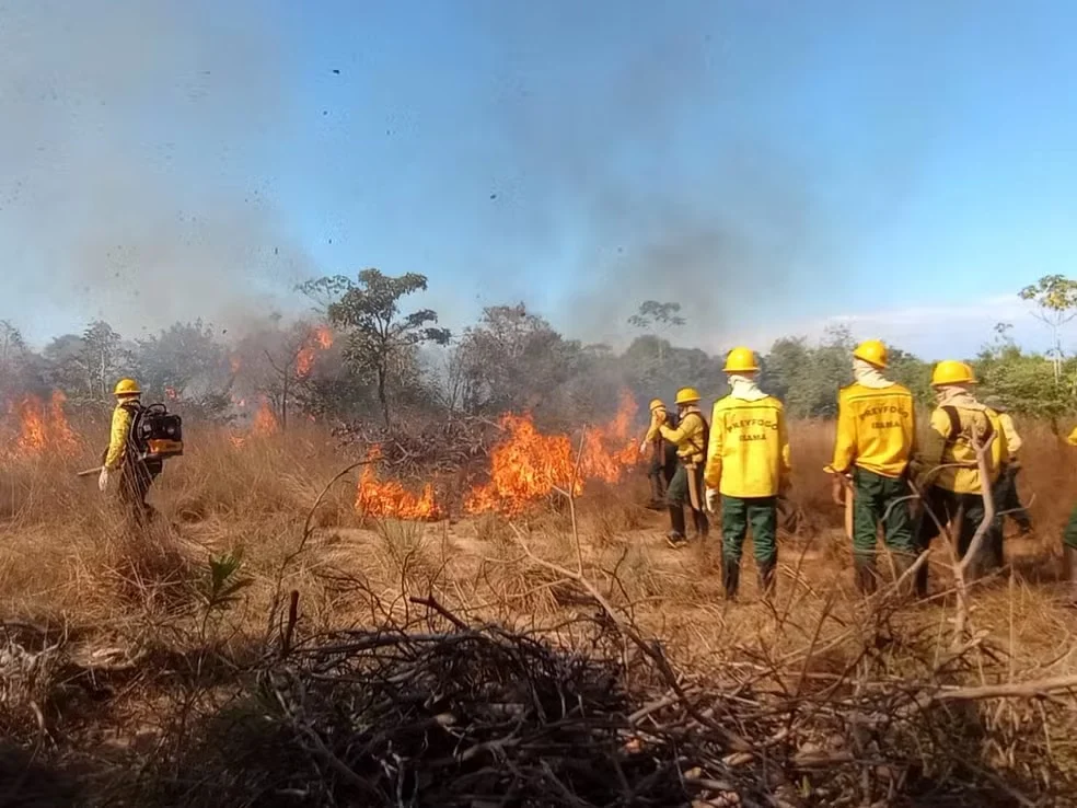 Incêndio de grandes proporções atinge área de vegetação no sudoeste do Pará