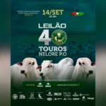Leilão Nelore movimenta setor pecuário de Marabá nesta segunda-feira