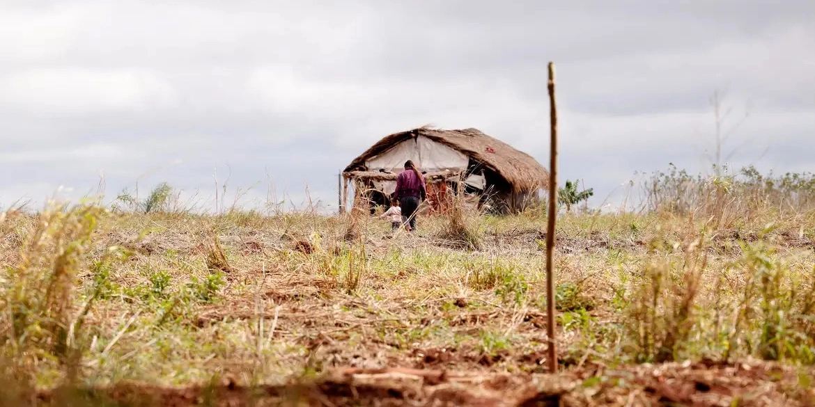 Brasil teve 26 mortes de ambientalistas em 2025 e vai para 2º no ranking global, aponta levantamento