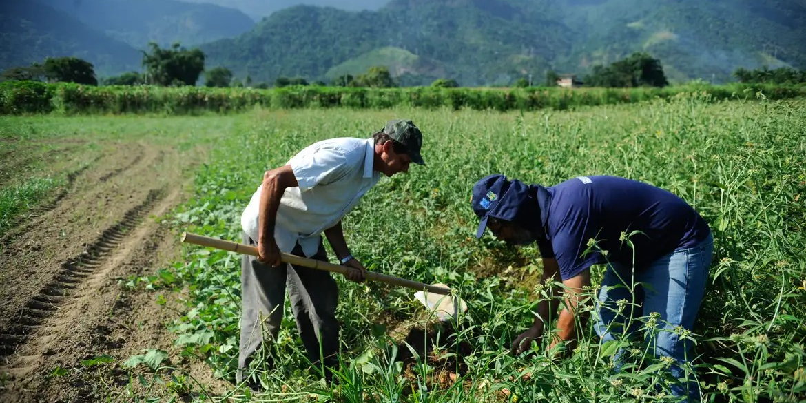 Produtores rurais do Pará poderão renegociar dívidas com condições especiais
