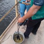 Morte de peixes em Barcarena é investigada após prefeitura notificar empresa