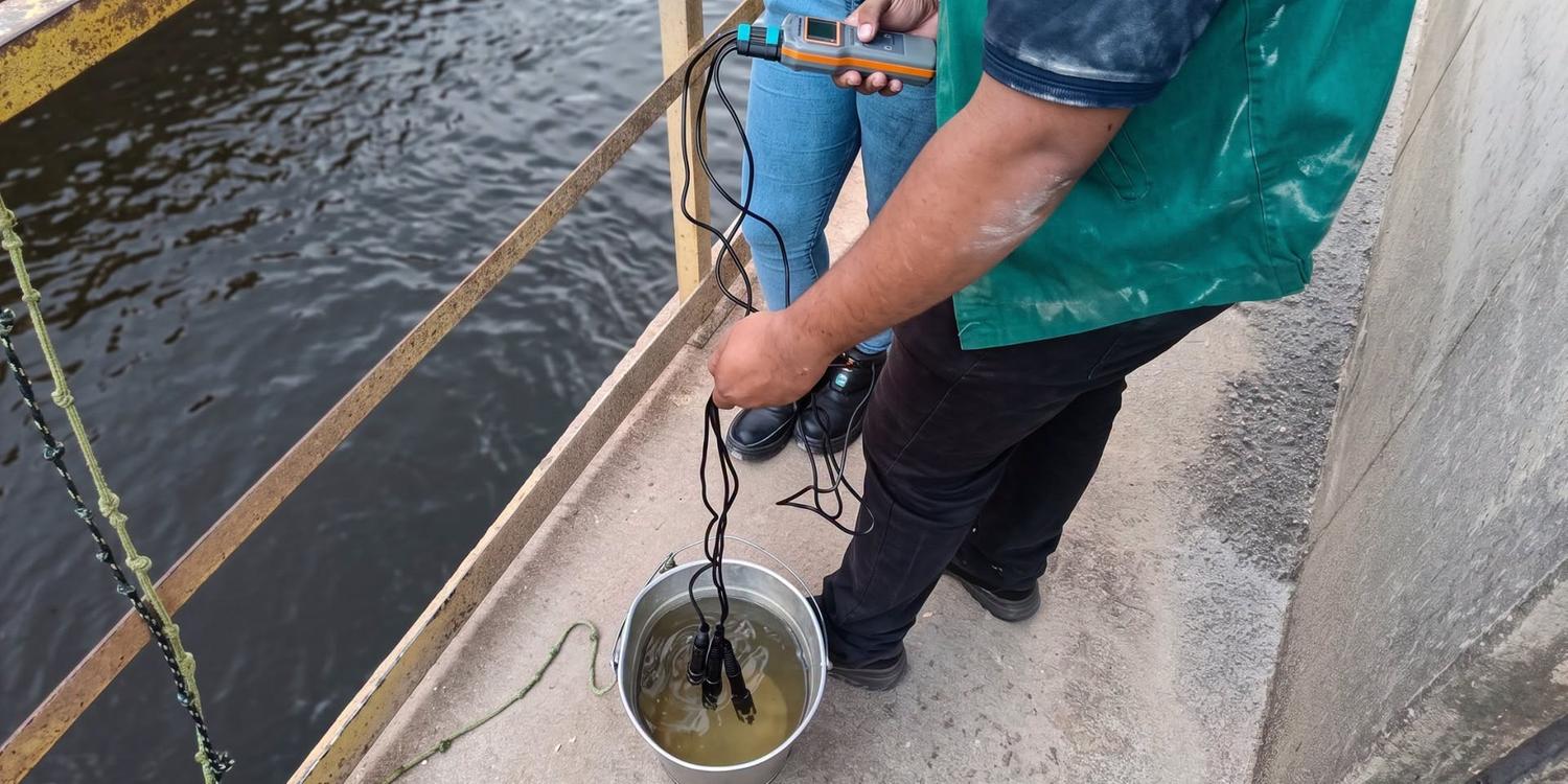 Morte de peixes em Barcarena é investigada após prefeitura notificar empresa