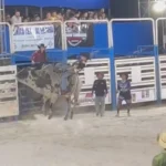 Peão é arremessado e pisoteado por touro durante apresentação em feira agropecuária no Pará