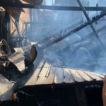 Incêndio atinge padaria e casa durante a madrugada no Pará; três cachorros e um passarinho morreram