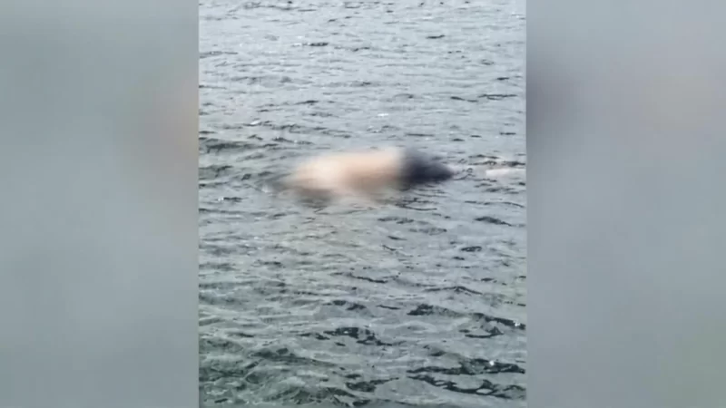 Corpo de homem é localizado boiando no Rio Tocantins