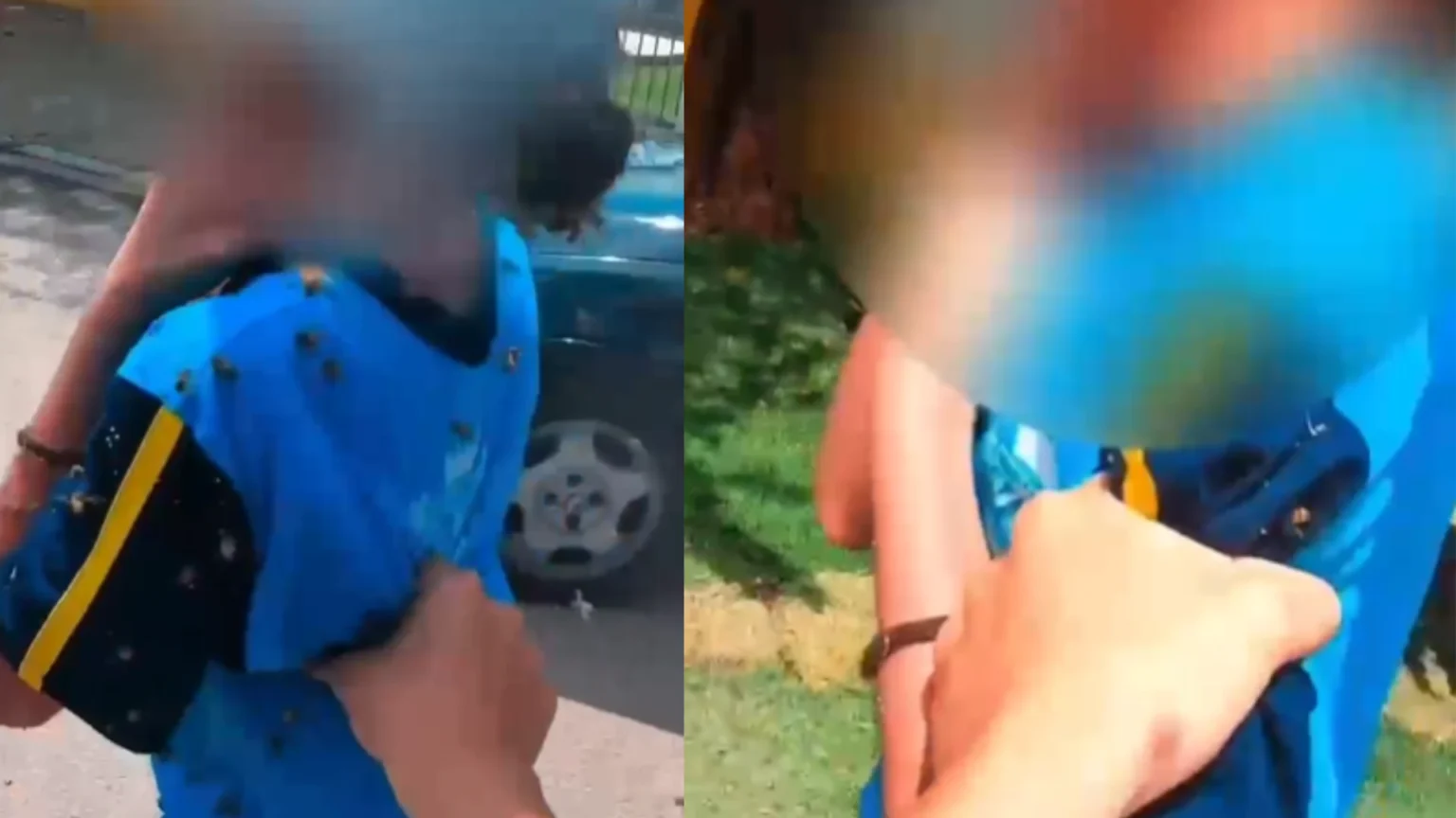 Motociclista interrompe viagem para resgatar estudante cercada por enxame de abelhas