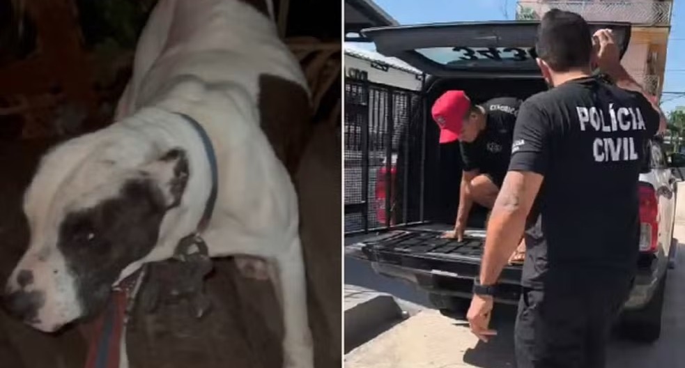 Homem é preso suspeito de manter cachorro amarrado e exposto ao sol no Pará