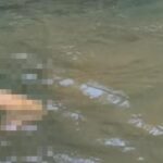 Corpo de homem é encontrado boiando em rio de Pacajá