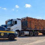 PRF apreende 77,4 m³ de madeira ilegal na BR-230, em São Domingos do Araguaia