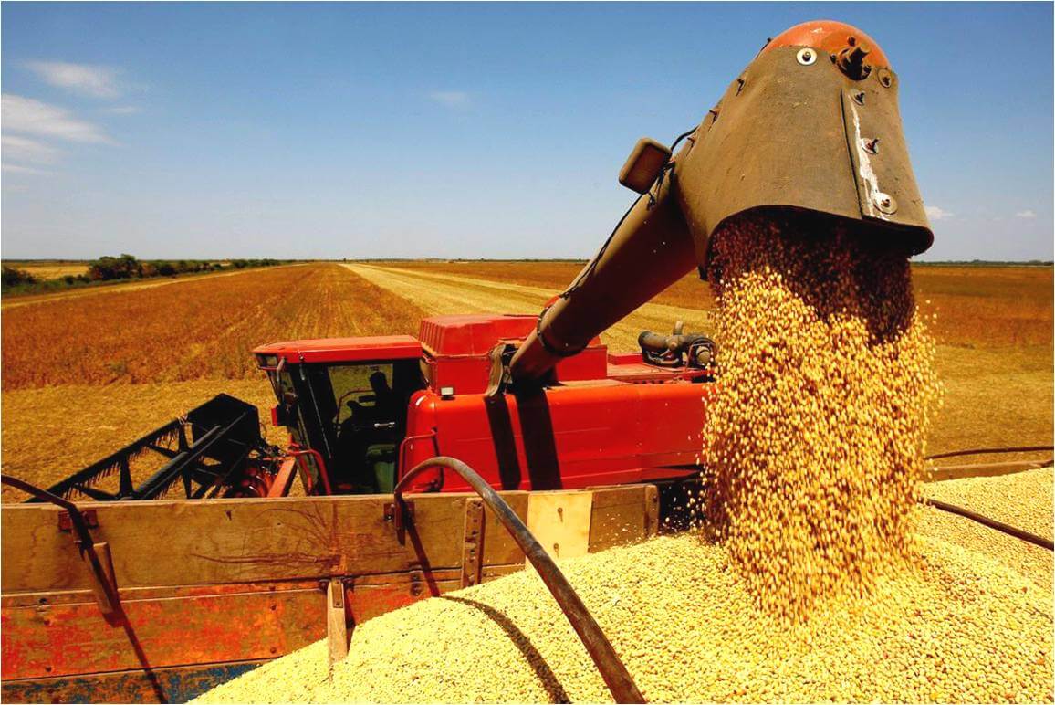 Agricultura brasileira supera R$ 927 bilhões e bate recorde histórico de produção em 2025