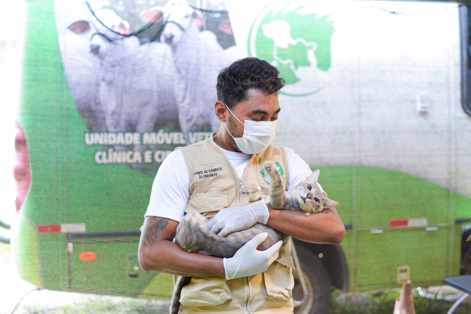 Prefeitura de Parauapebas realiza 530 atendimentos e 182 castrações de cães e gatos