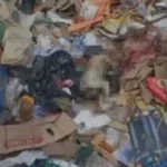 Recém-nascido é encontrado morto em lixão no nordeste do Pará