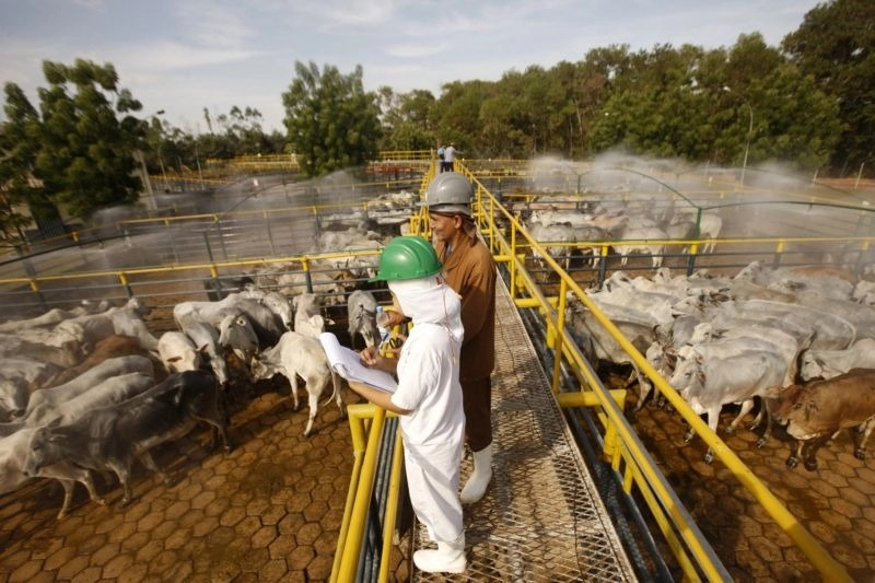 Pará movimenta R$ 74,8 bilhões no 2º trimestre e cresce 1,17% na economia