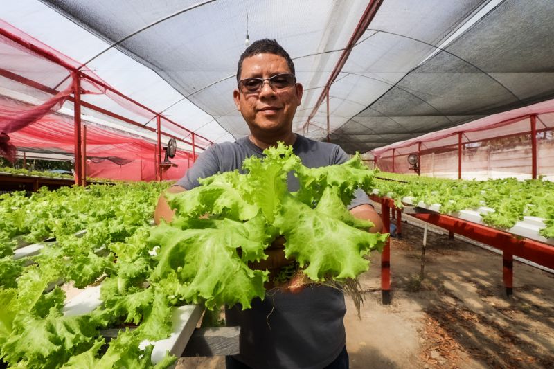 Seduc realiza chamadas públicas para compra de alimentos da agricultura familiar no Pará