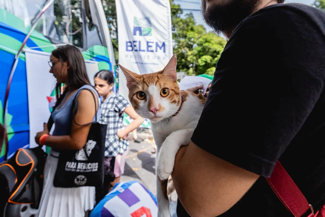 Cidade do Pará faz vacinação emergencial de cães e gatos após morcego testar positivo para raiva